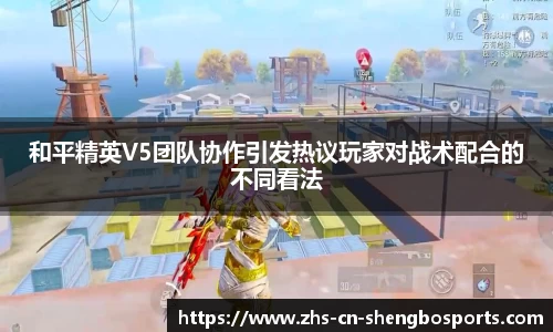 和平精英V5团队协作引发热议玩家对战术配合的不同看法